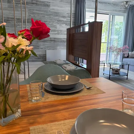 Luxury Krynica -apartamenty No 1 With Swimming Pool 3* Krynica Morska
