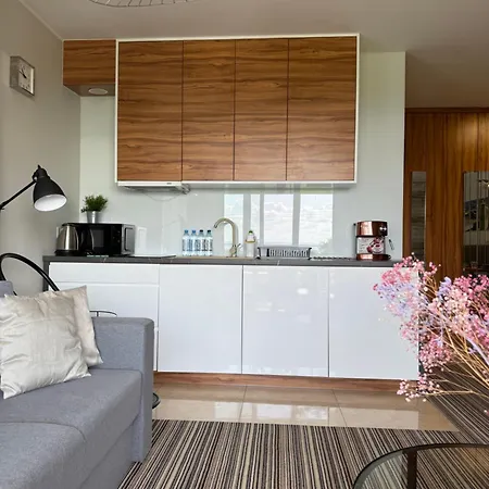 Luxury Krynica -apartamenty No 1 With Swimming Pool Aparthotel