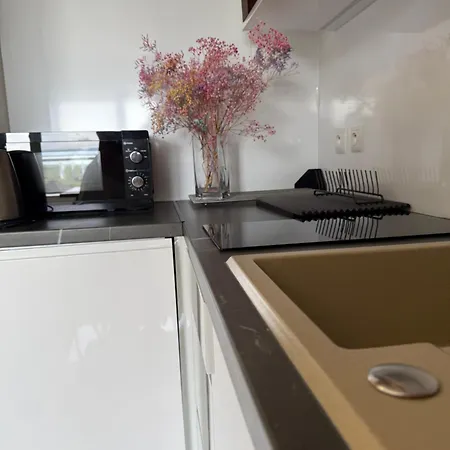 Luxury Krynica -apartamenty No 1 With Swimming Pool 3*