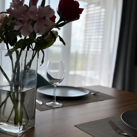 Luxury Krynica -apartamenty No 1 With Swimming Pool