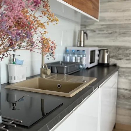 Luxury Krynica -apartamenty No 1 With Swimming Pool Lägenhetshotell 3*