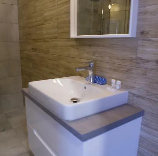 Luxury Krynica -apartamenty No 1 With Swimming Pool